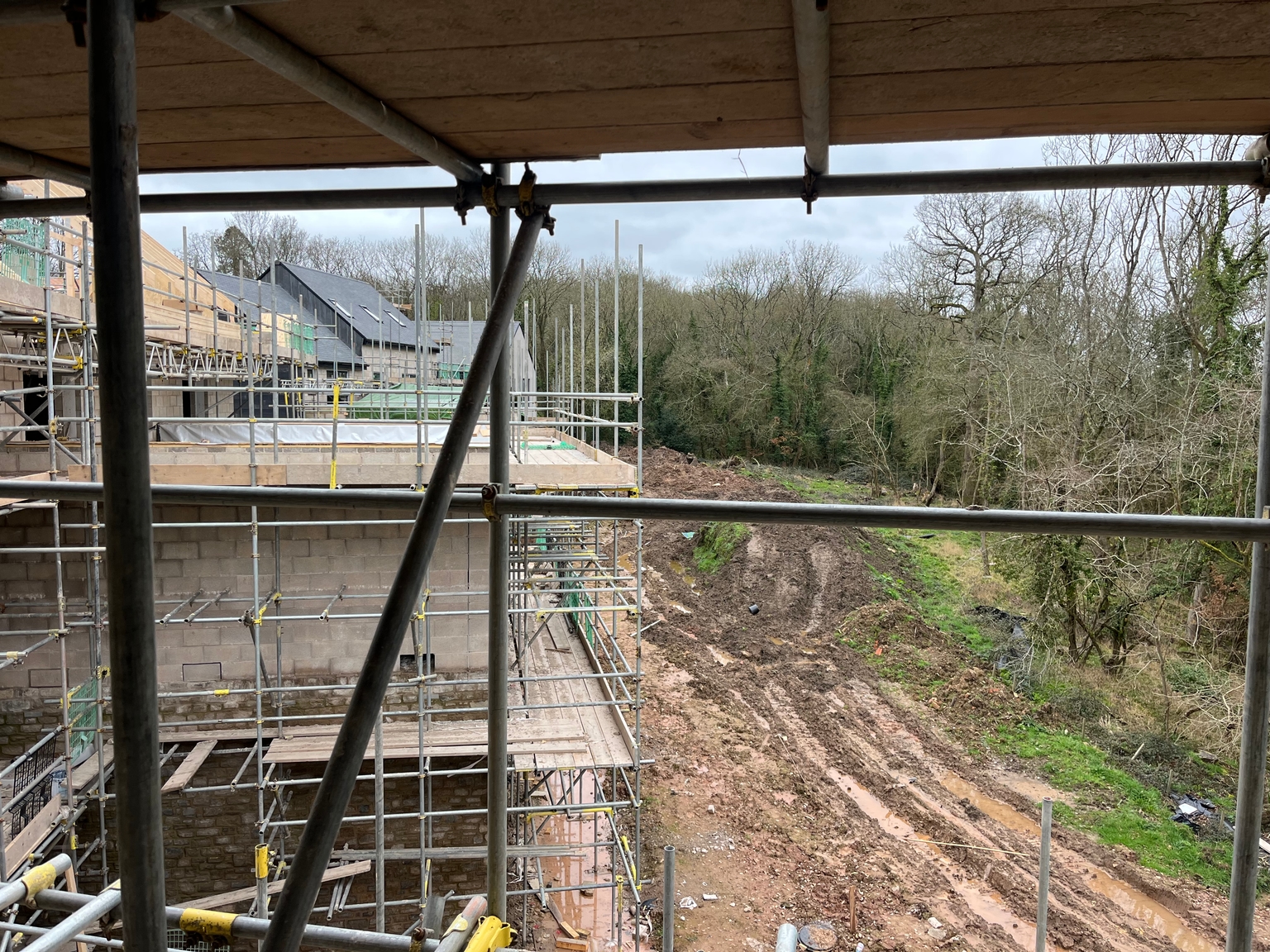 View from one of the bedrooms of Plot 15 (Beech) southwards along the woodland
