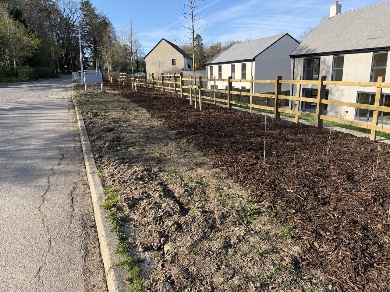 Western perimeter of the site starting to take shape
