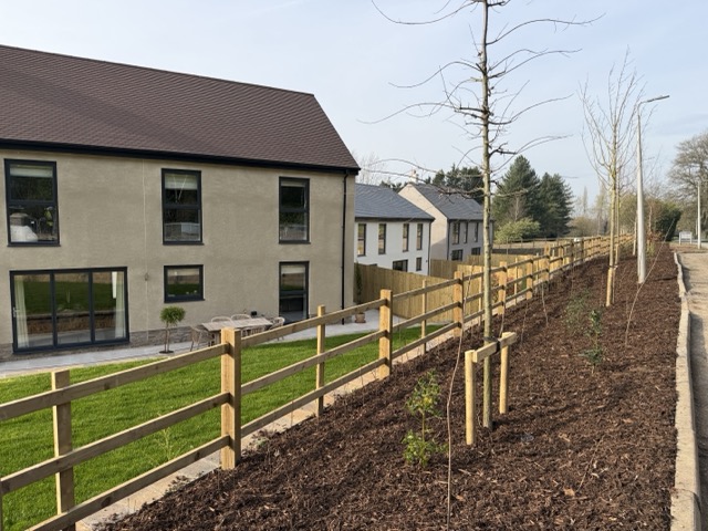 Landscaping is making a big difference!